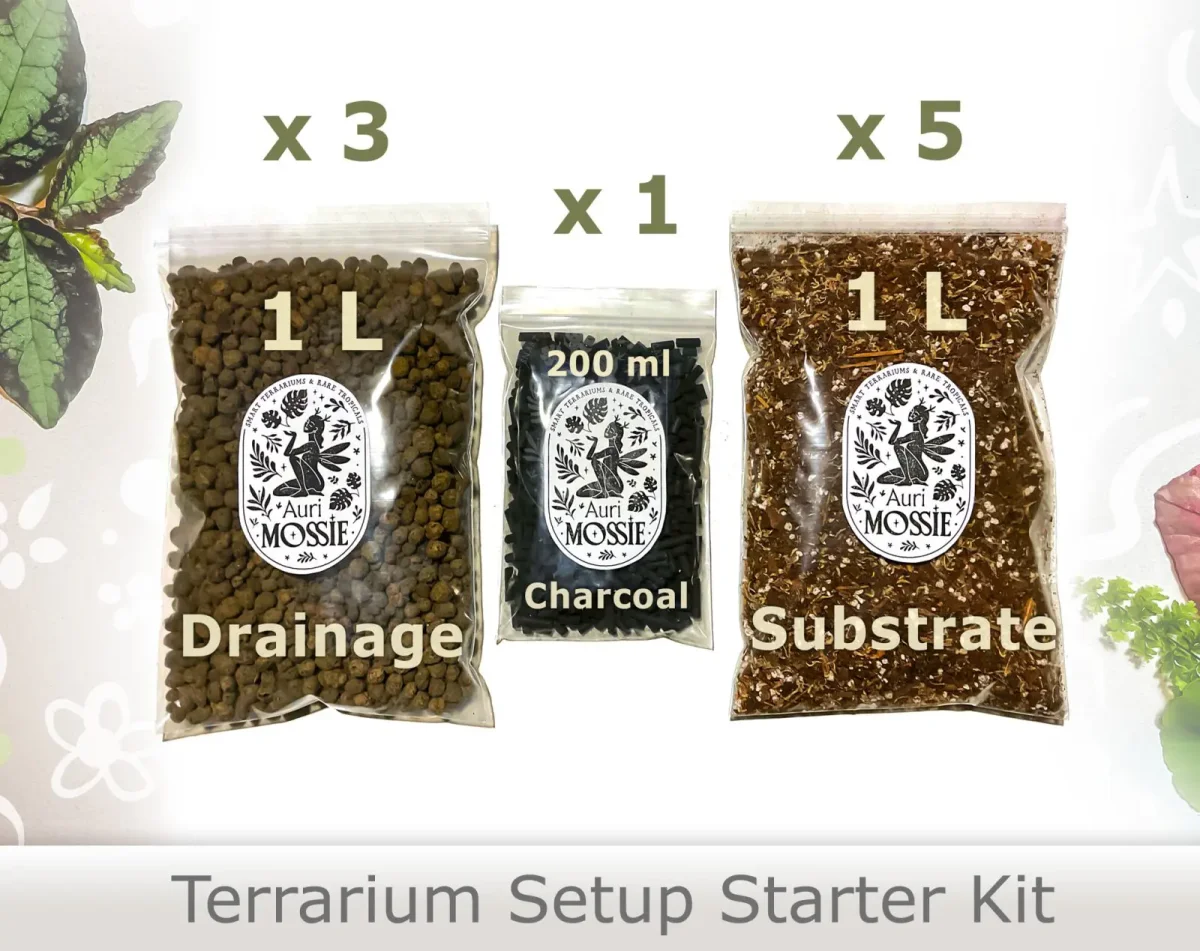 Terrarium Starter Set – Drainage, Aktivkohle und Tropensubstrat